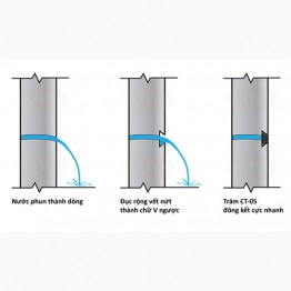 Đông cứng nhanh CT-05